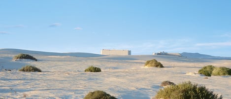 Paisaje desértico con poca vegetación y un edificio grande a lo lejos.