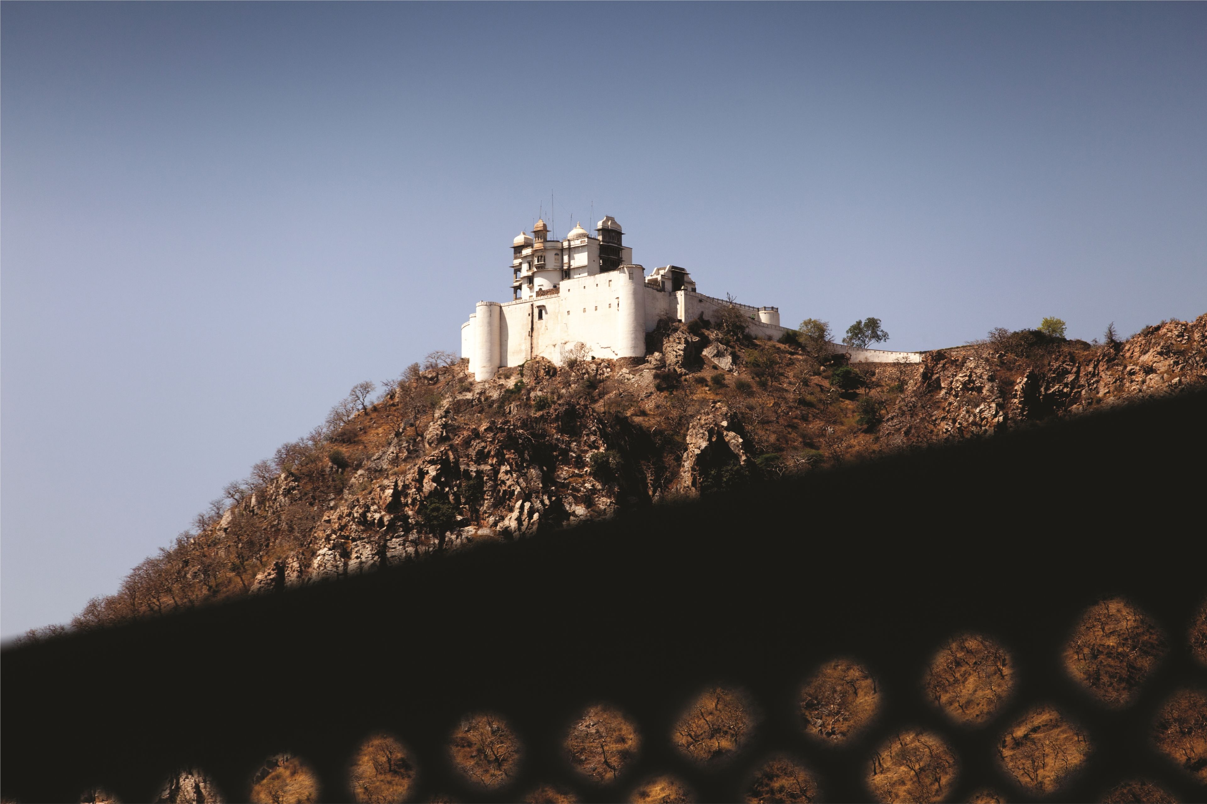 Foto - Ramada by Wyndham Udaipur Resort and Spa