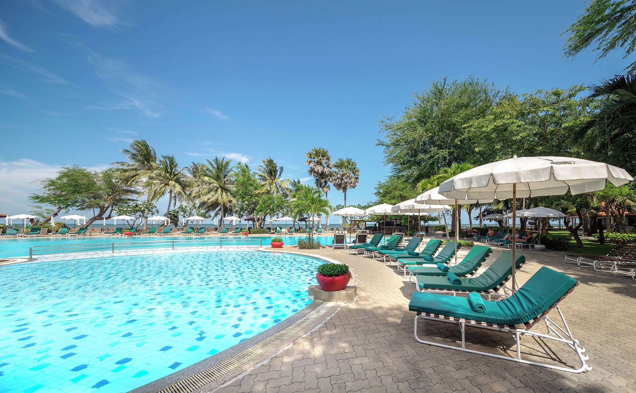 A swimming pool with lounge chairs and umbrellas, surrounded by palm trees.
