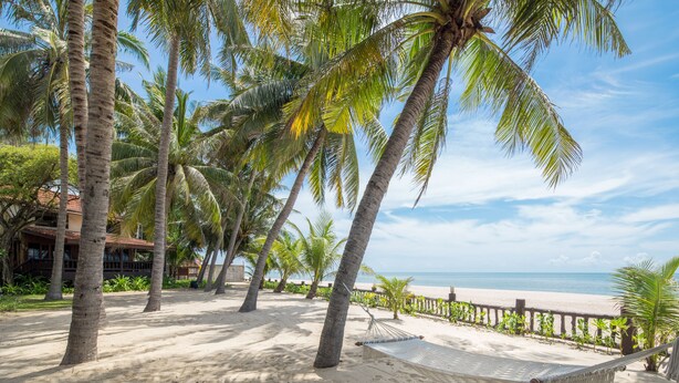Una playa con palmeras, una hamaca y vista al océano.