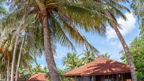 Un resort con cabañas de madera, palmeras y una playa arenosa.