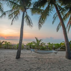 On the beach, beach bar