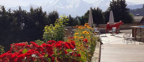 A wooden deck with red flowers, outdoor seating, and a view of snow-capped mountains.