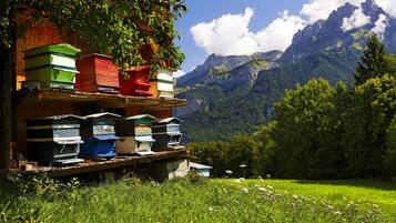 A beekeeping setup with multiple hives on a wooden platform, set against a backdrop of lush green fields and mountains.