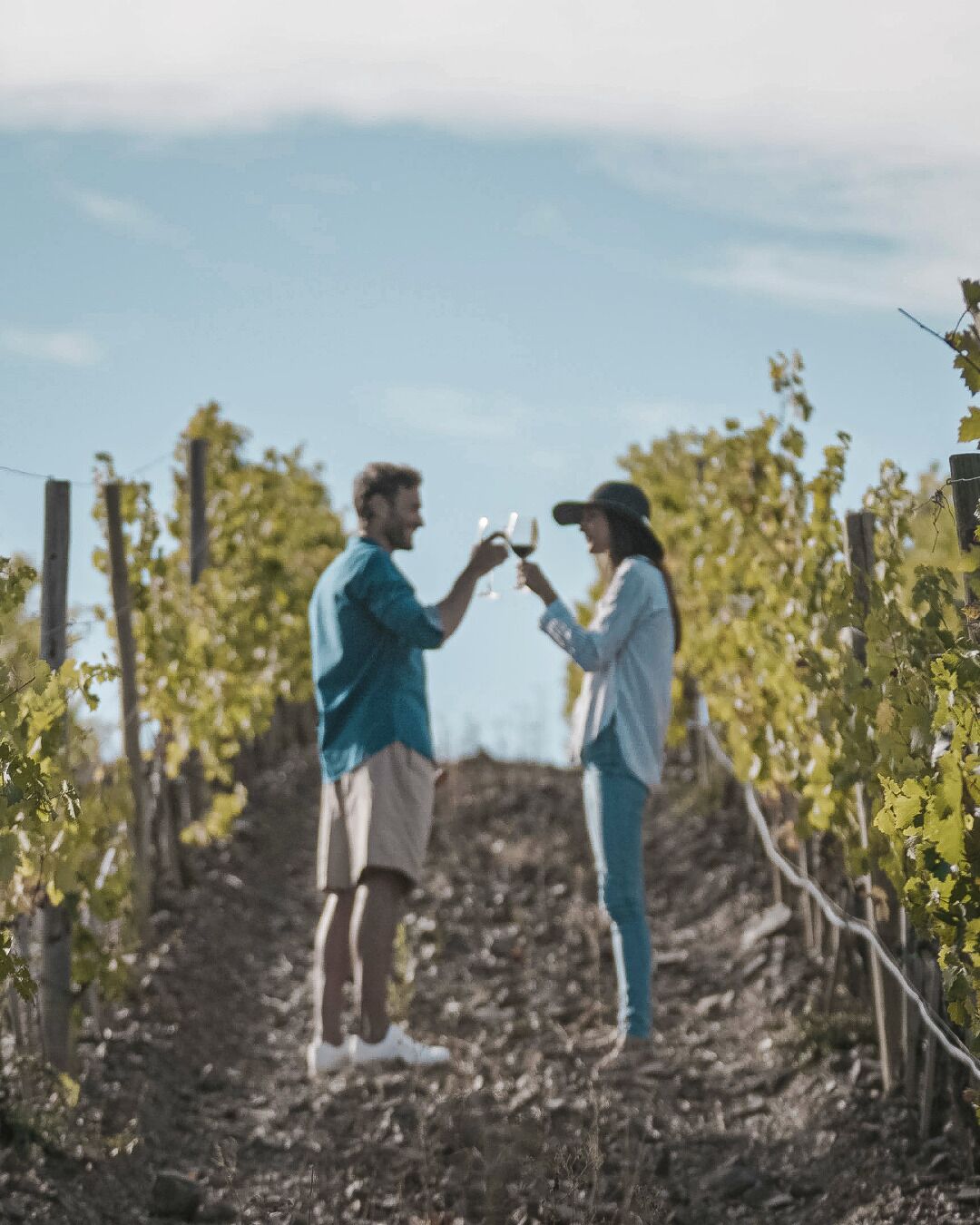 Two people toasting in a vineyard with rows of grapevines and a clear sky.
