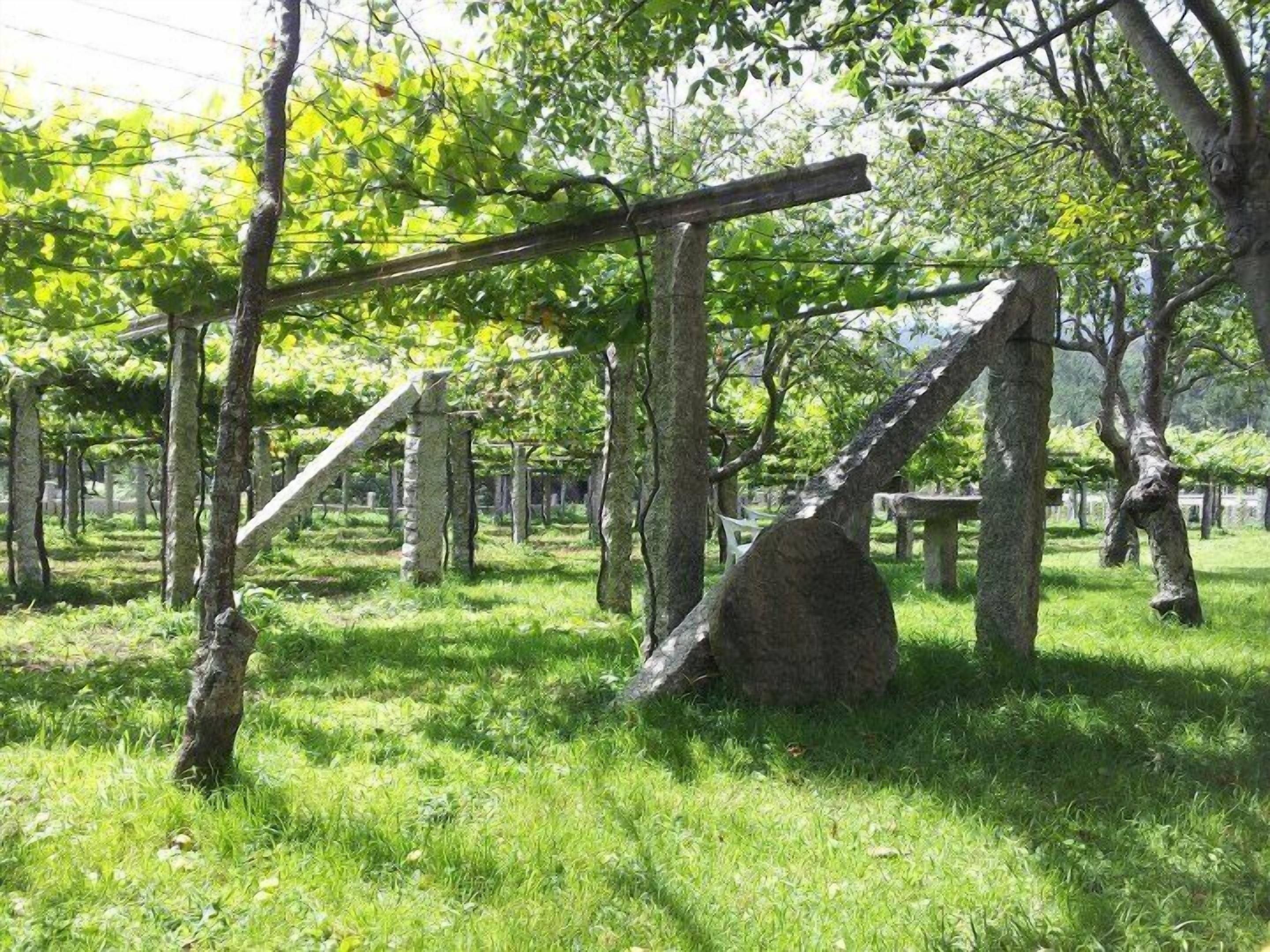 Foto - Os Areeiros Turismo Rural & Bodega