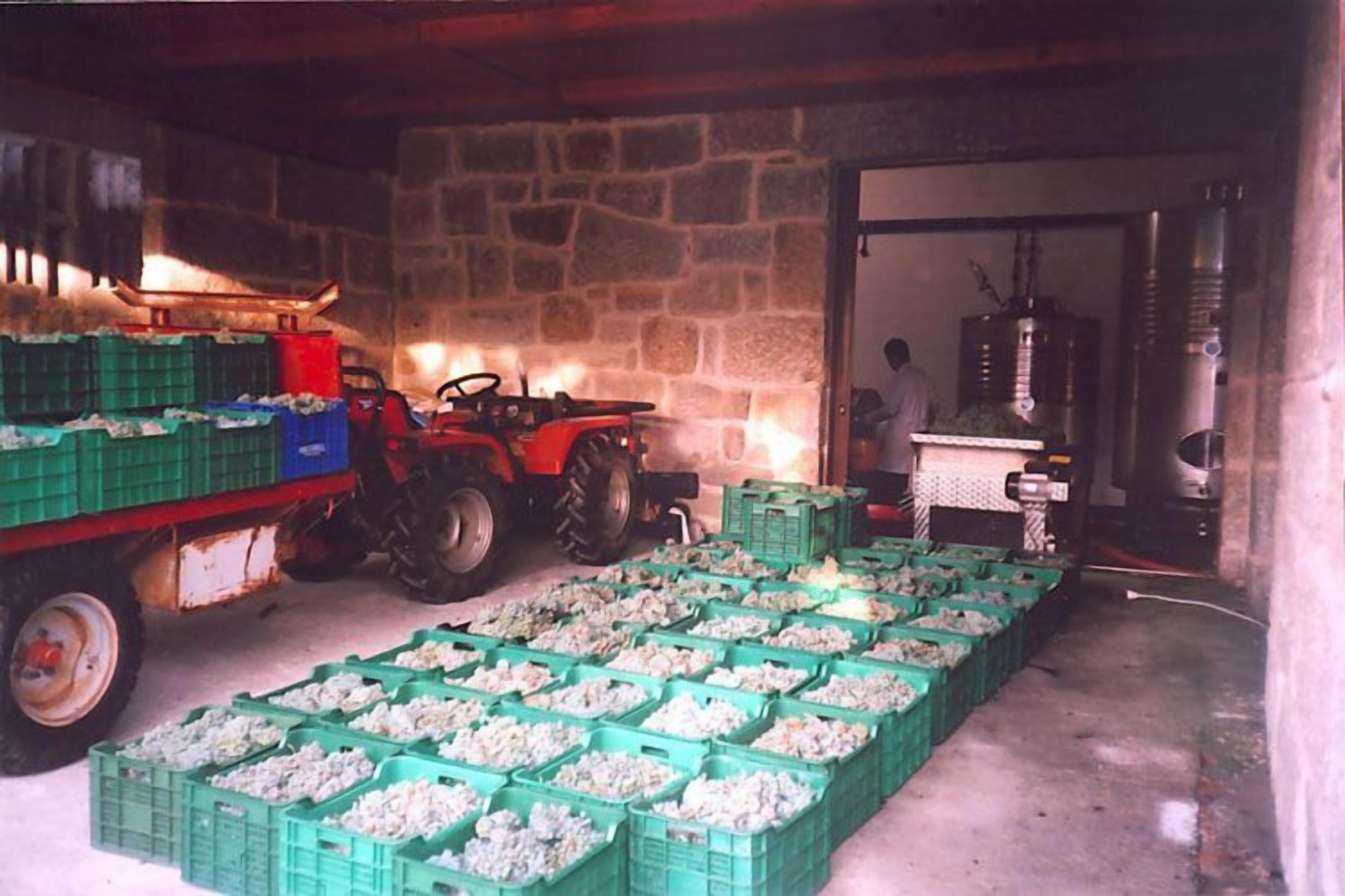 Foto - Os Areeiros Turismo Rural & Bodega