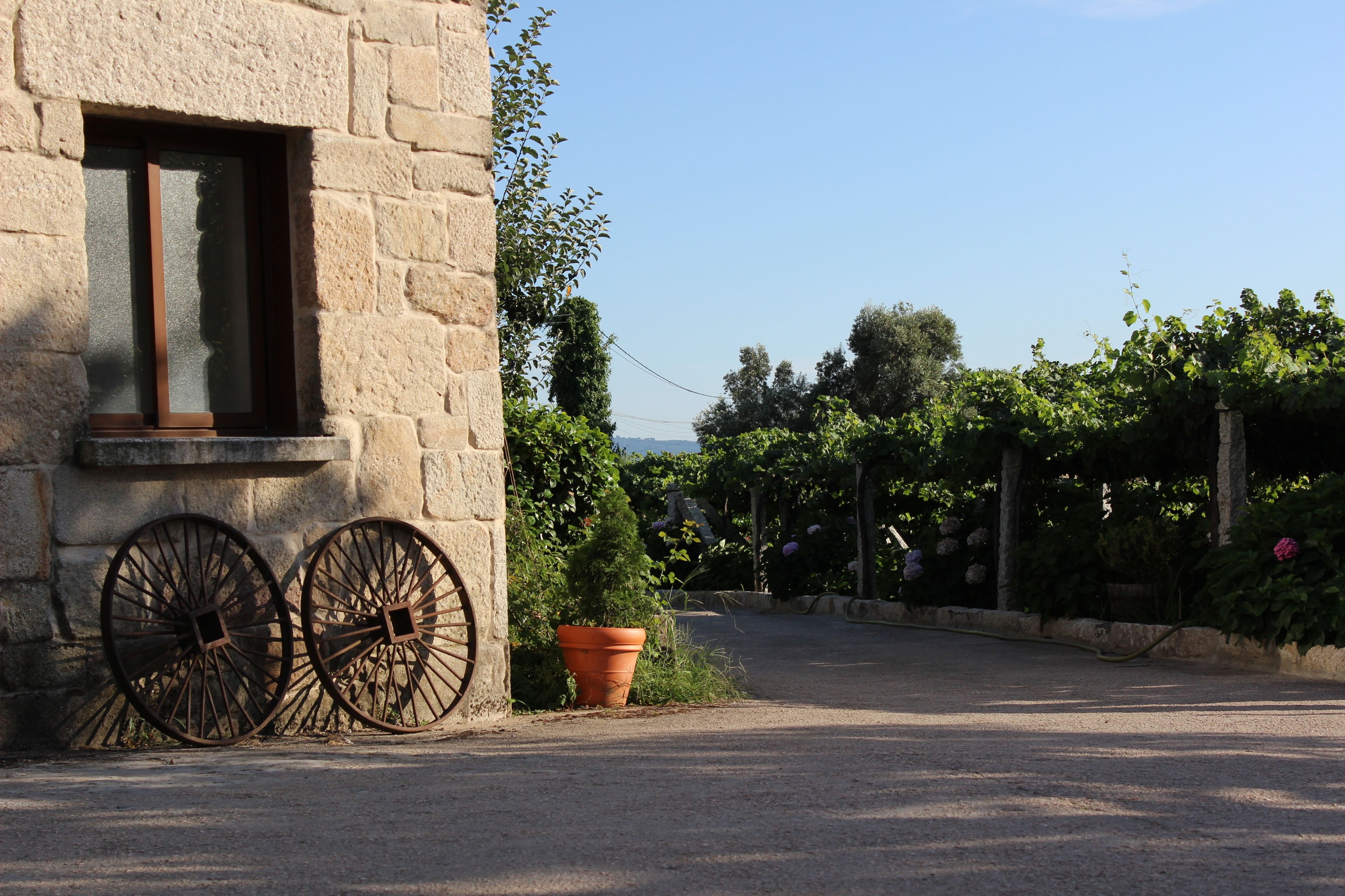 Foto - Os Areeiros Turismo Rural & Bodega