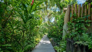 حديقة