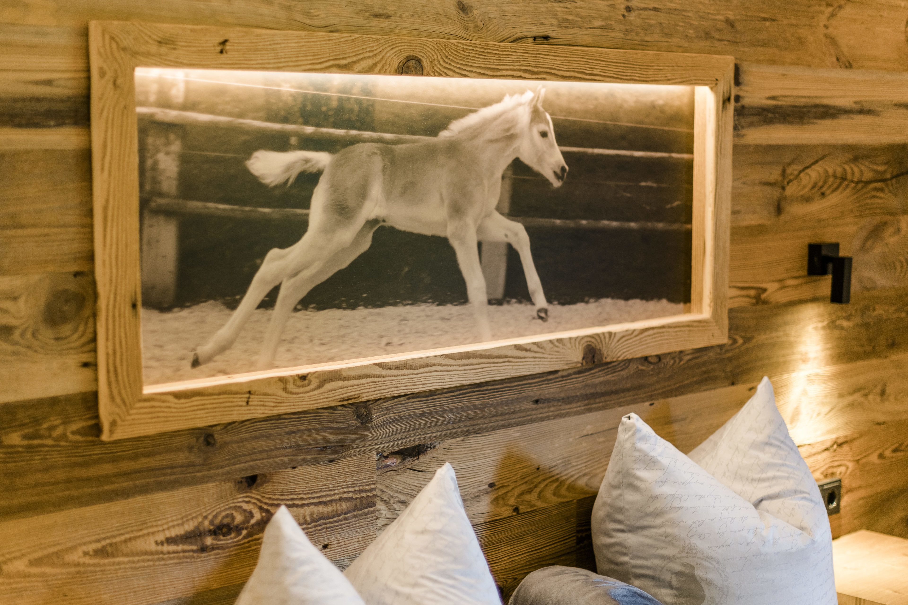 A framed photograph of a horse on a wooden wall.