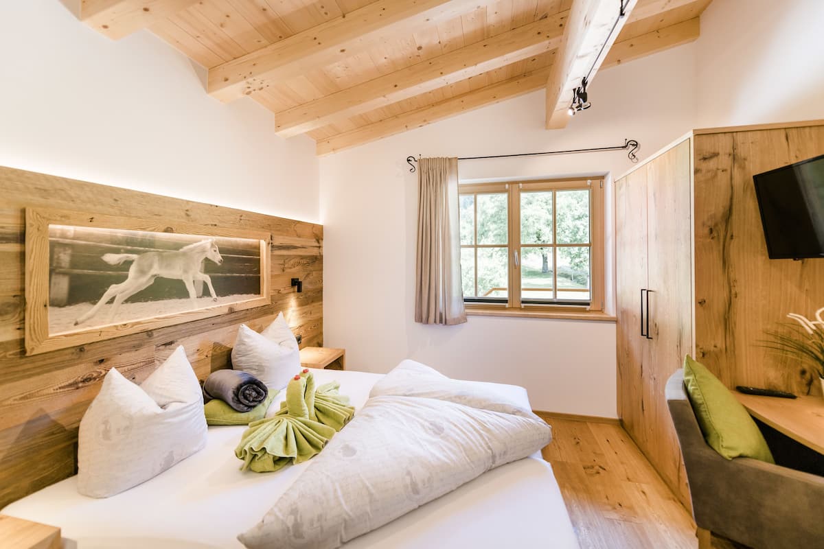 Double Room, Annex Building | In-room safe, desk, soundproofing, iron/ironing board (on request)