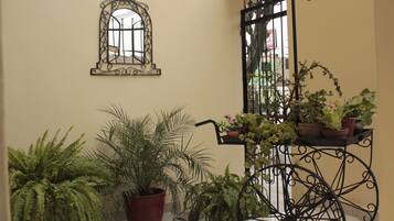 Terrain de l’hébergement