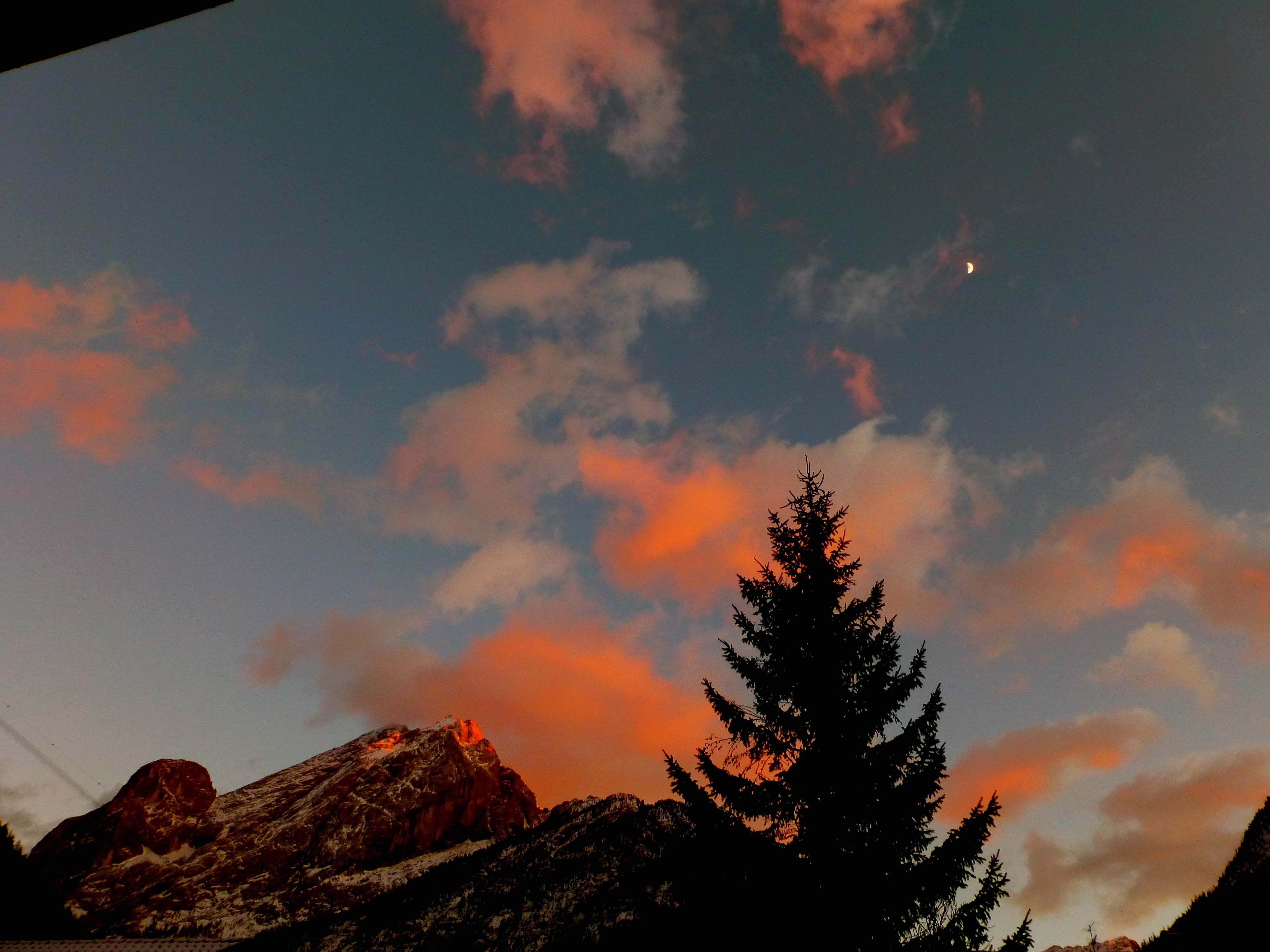 A mountain landscape with a prominent tree silhouette and a clear sky.
