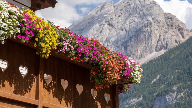 Un balcón de madera con diseños en forma de corazón y flores de colores, con montañas al fondo.