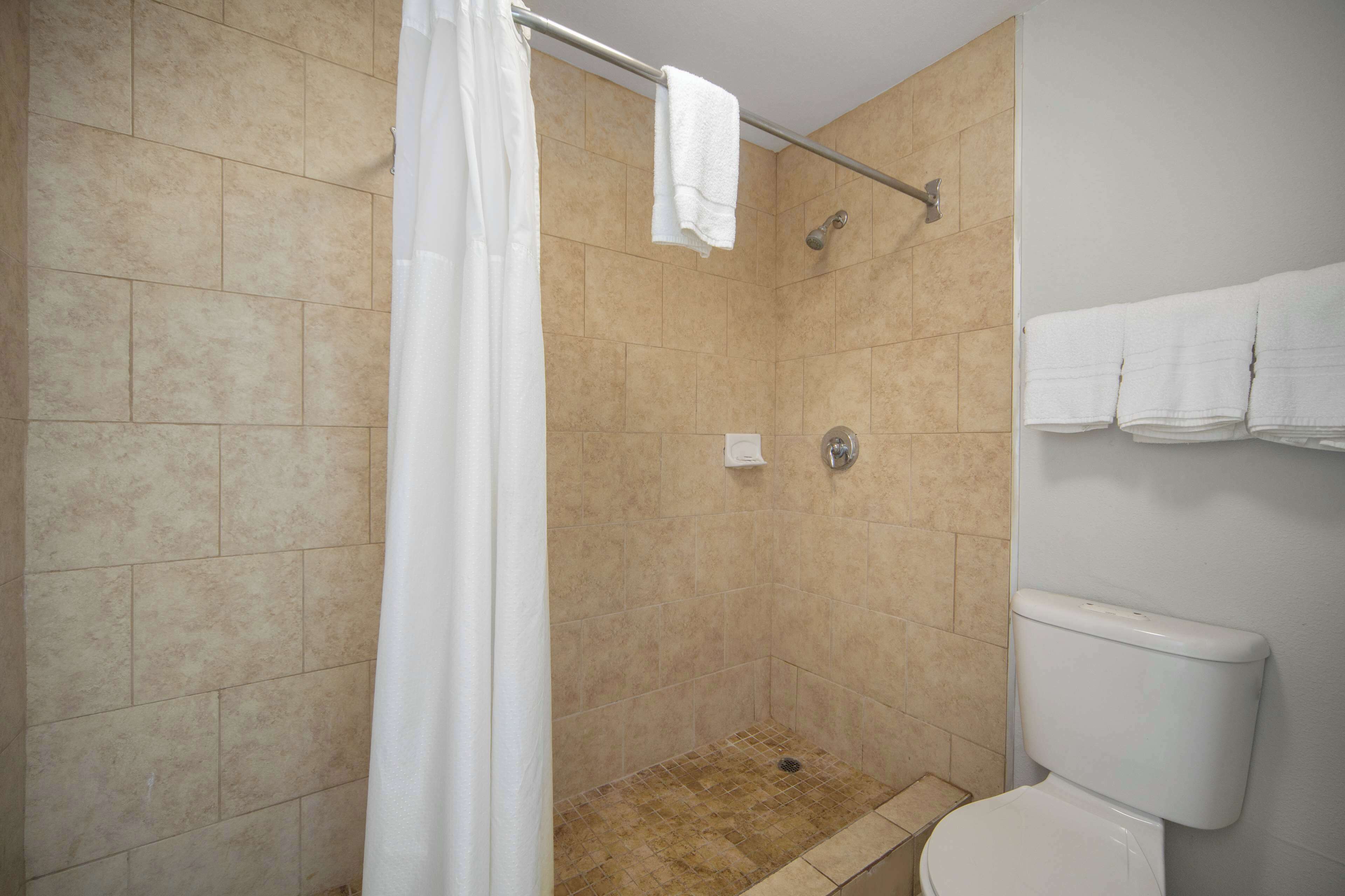 Zona de ducha con pared de azulejos, cabezal de ducha y un inodoro con tanque blanco.