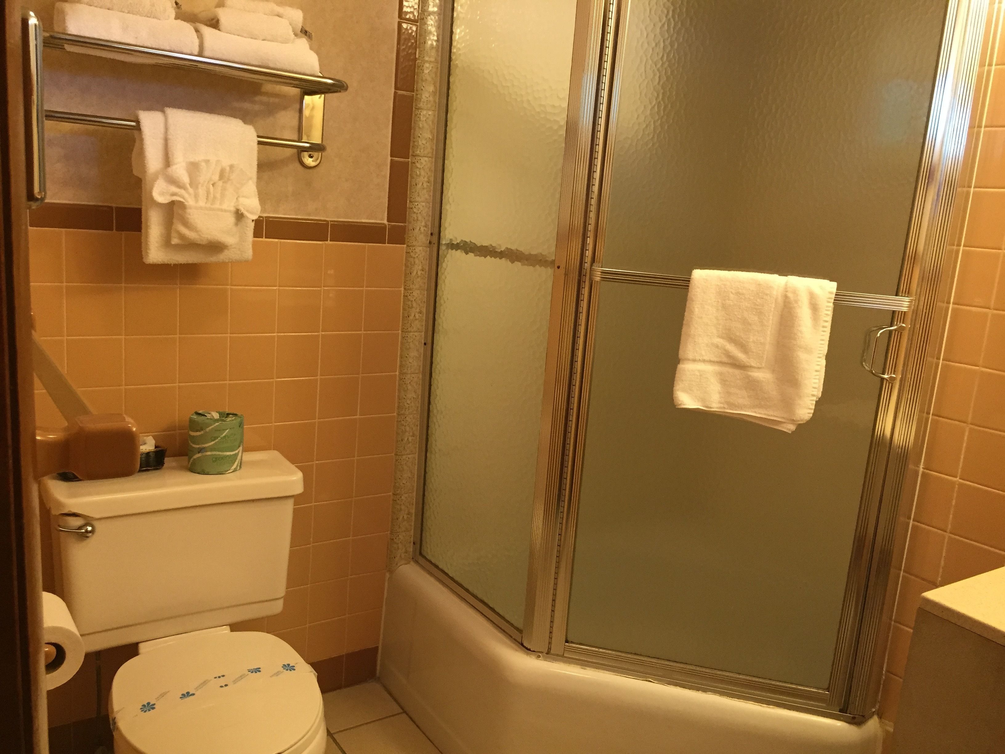 A bathroom with a glass-enclosed shower, a toilet with a floral pattern, and a shelf with towels.