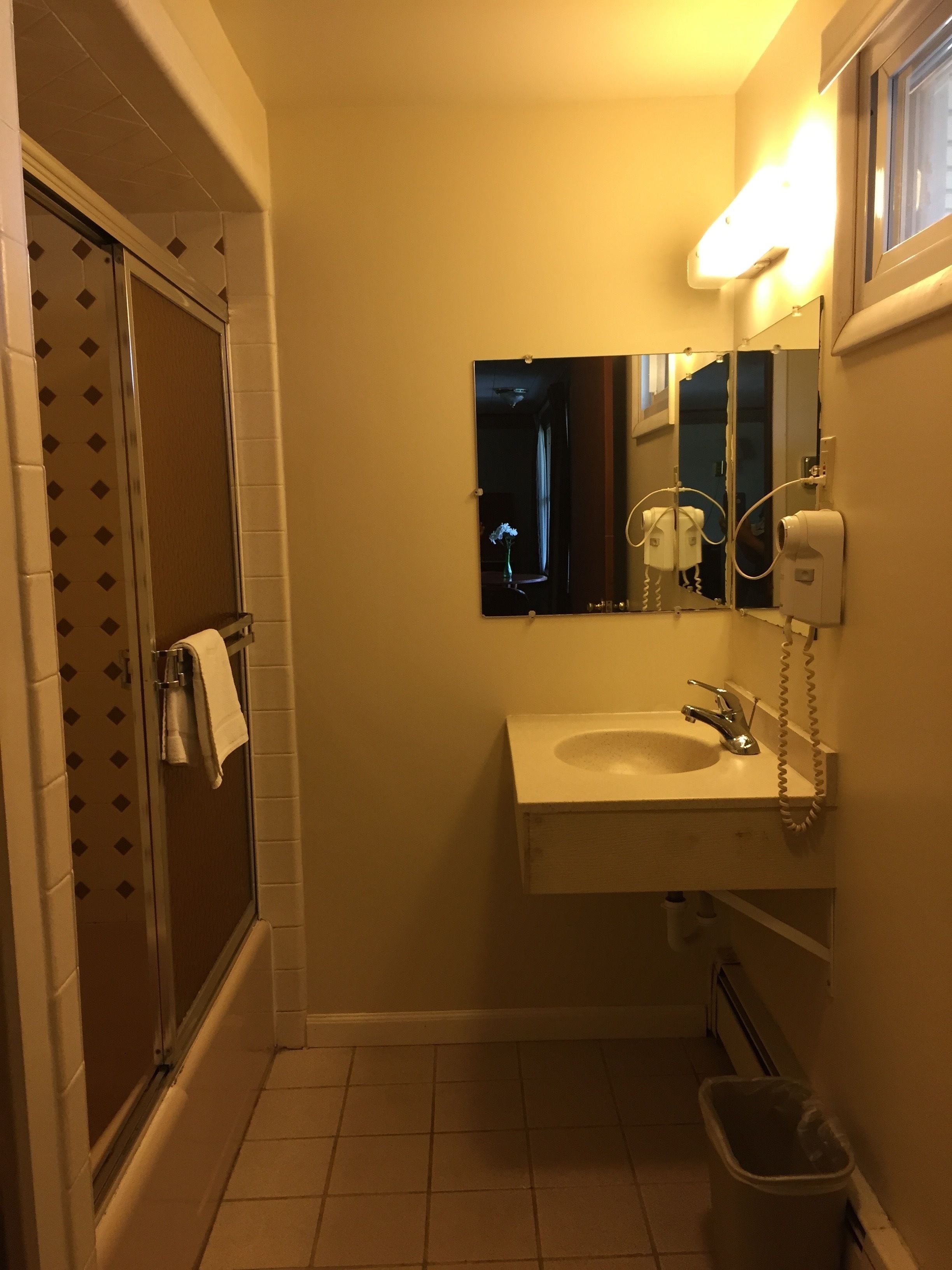 A bathroom with a shower, a sink, a mirror, and a hairdryer.