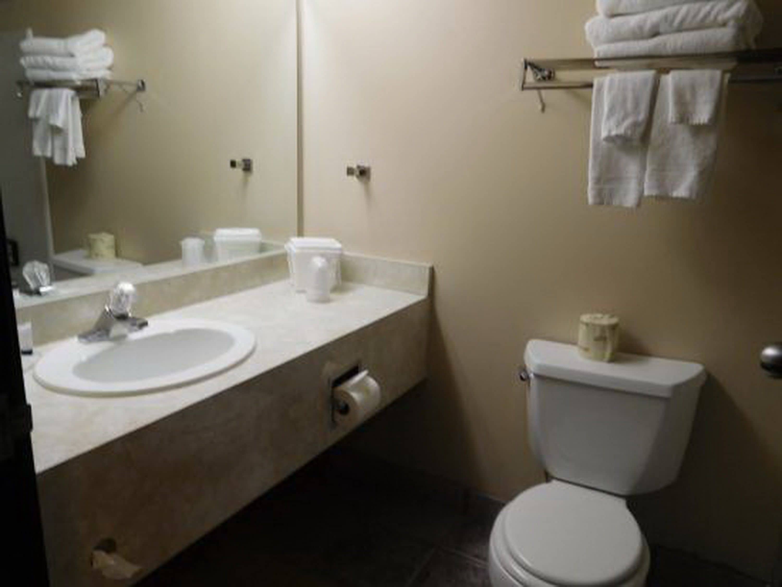 A bathroom with a sink, mirror, and toilet.