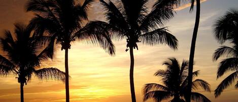 On the beach, beach towels