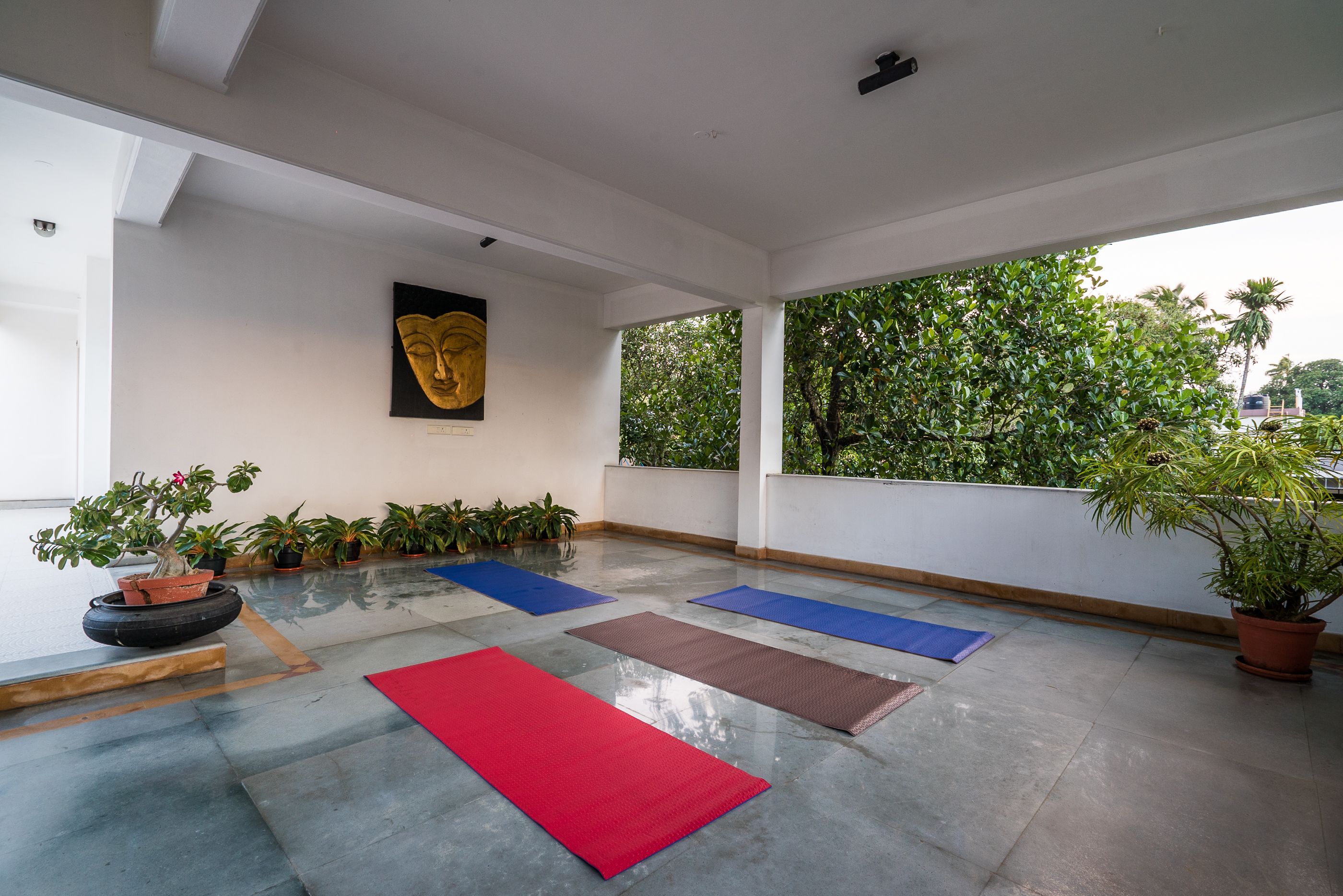 Un espacio interior amplio con piso de concreto, varias plantas en macetas y colchonetas de ejercicio en colores rojo, azul y marrón.