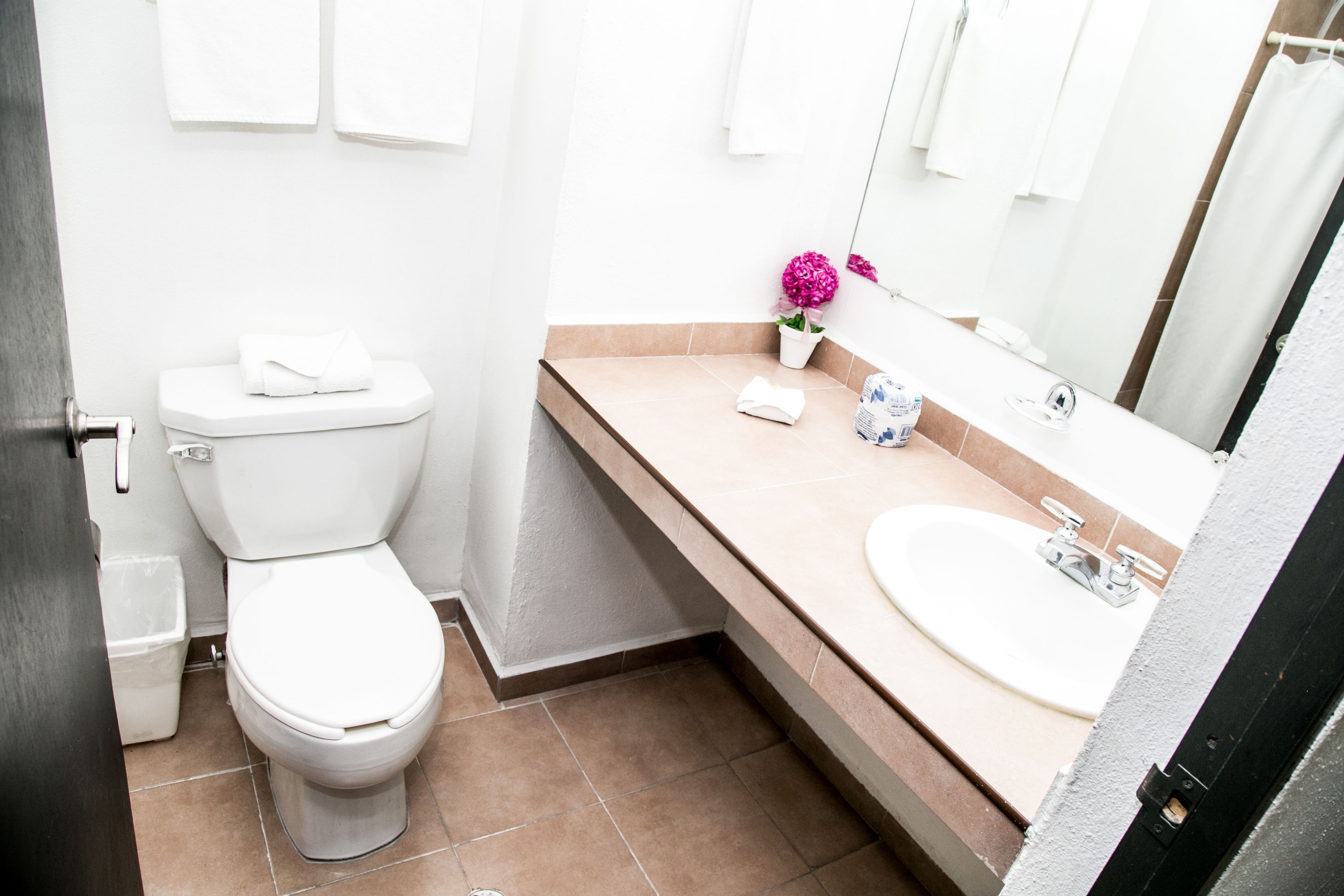 Une salle de bain avec des toilettes, un lavabo et un miroir.