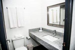 Deluxe Studio Suite | Bathroom | Shower, free toiletries, towels, soap - Suites DIOH (Monterrey)