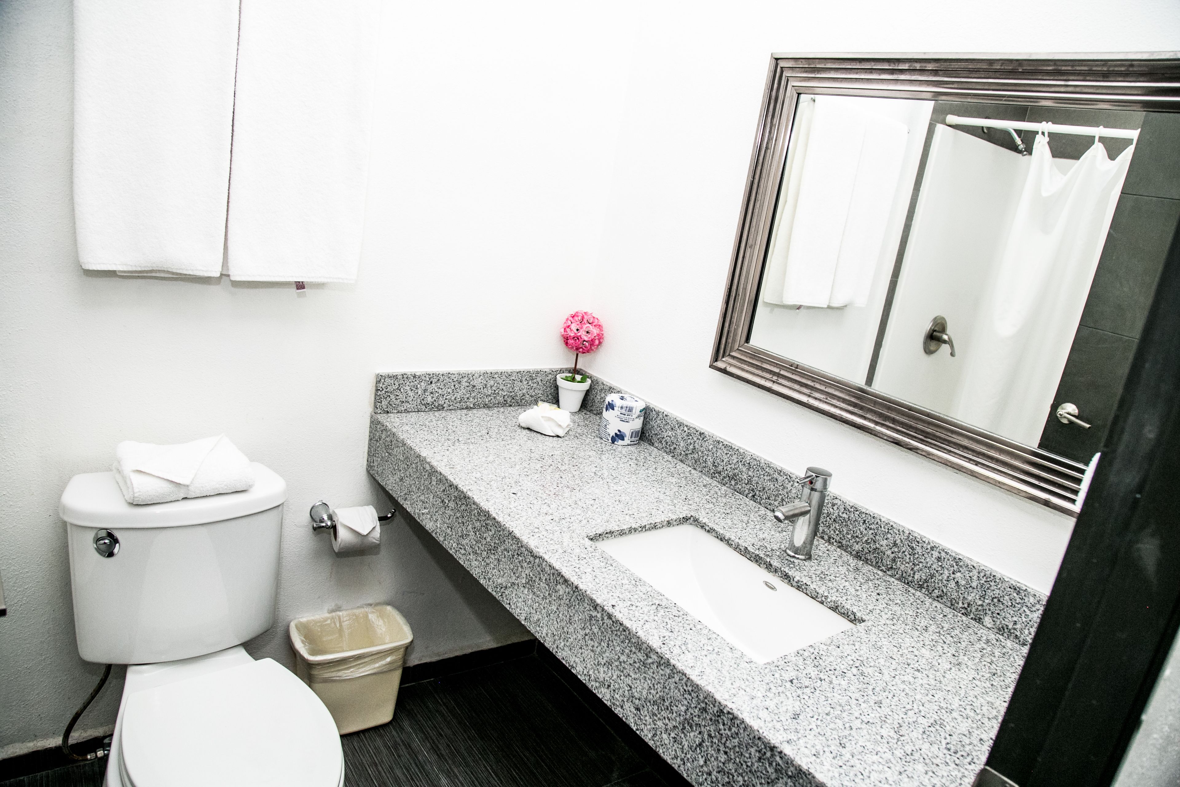 A bathroom with a white toilet, a granite sink, a mirror, and a small potted plant.