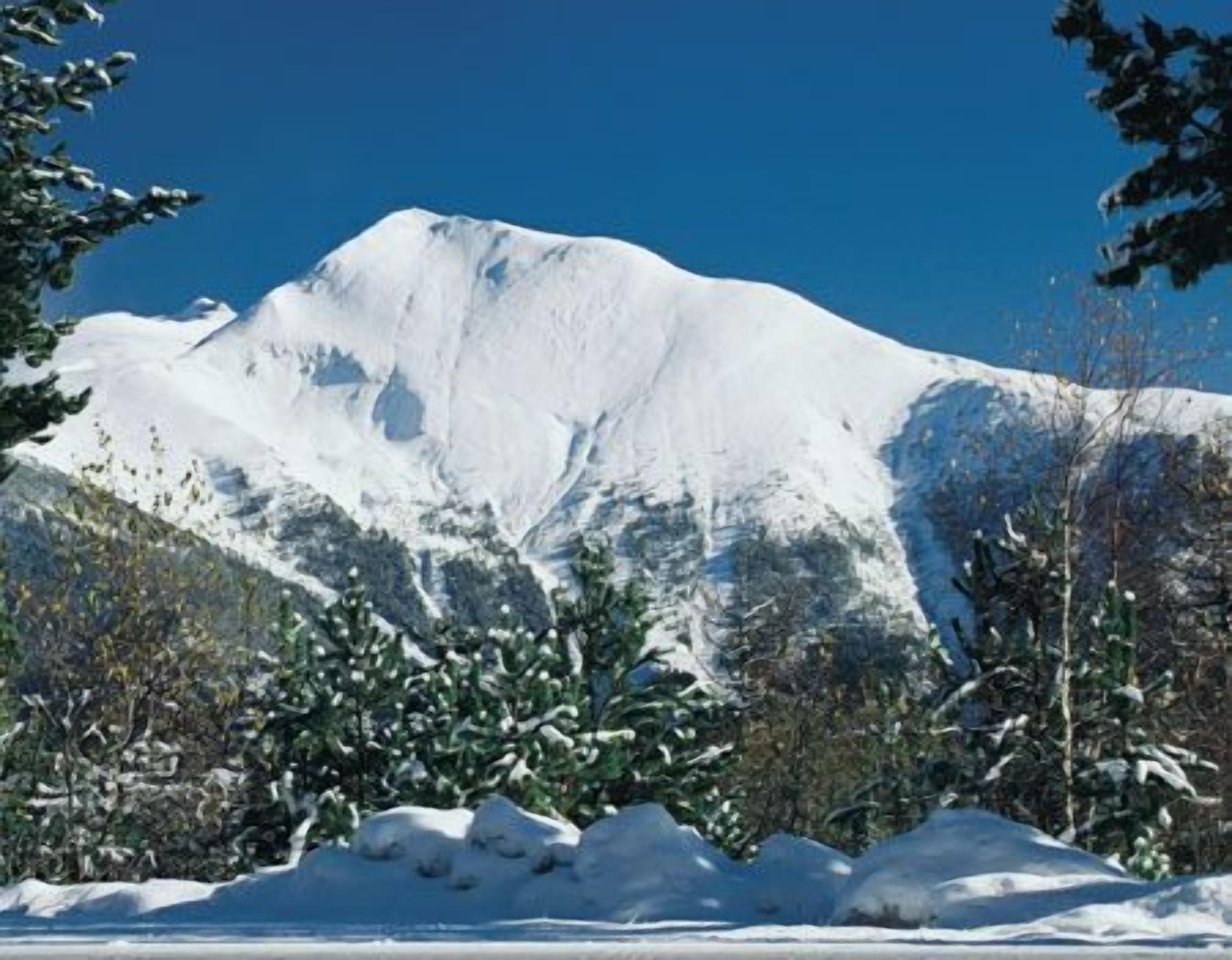 Foto - Hotel Arinsal