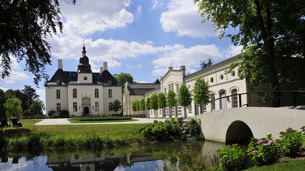 Een groot, historisch gebouw met een vijver en een brug ervoor.