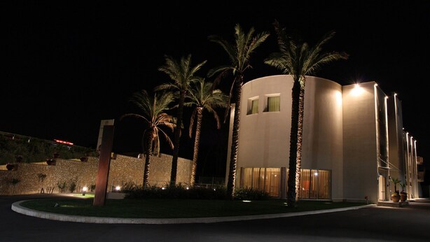 A modern building with a curved facade, palm trees, and a stone wall. - Palazzo Giordano Bruno (Nola)