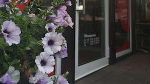 Ein Schaufenster mit Glastür, einem Schild mit der Aufschrift "Heiners Pub" und einer Blumenanordnung davor.