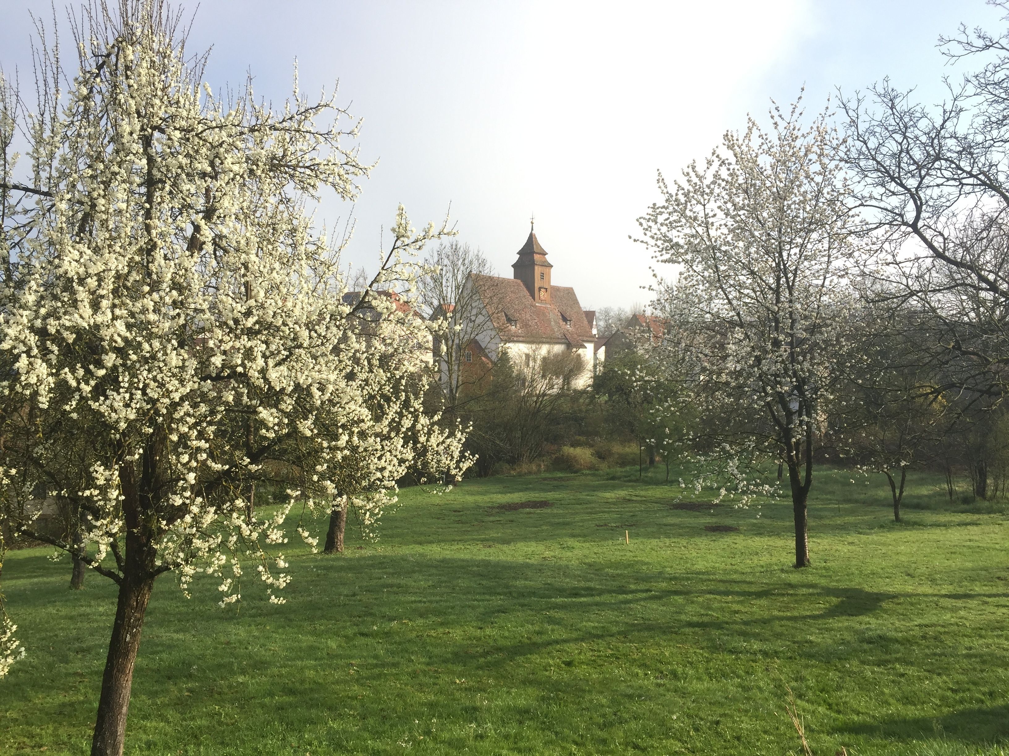 施設からの眺望