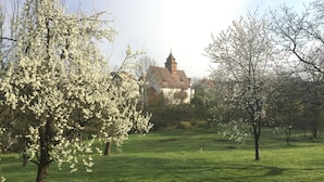 Ein Park mit blühenden Bäumen und einem Gebäude im Hintergrund.