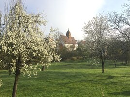 Vista desde la propiedad