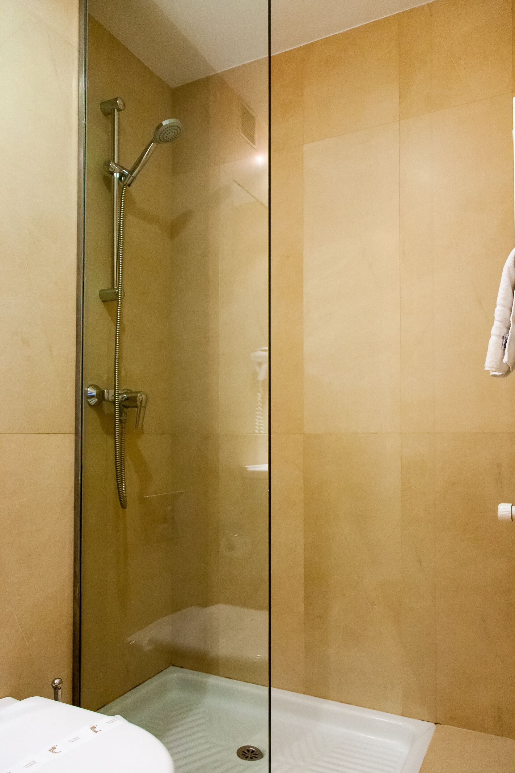 A glass-enclosed shower with a handheld showerhead and a handheld faucet.