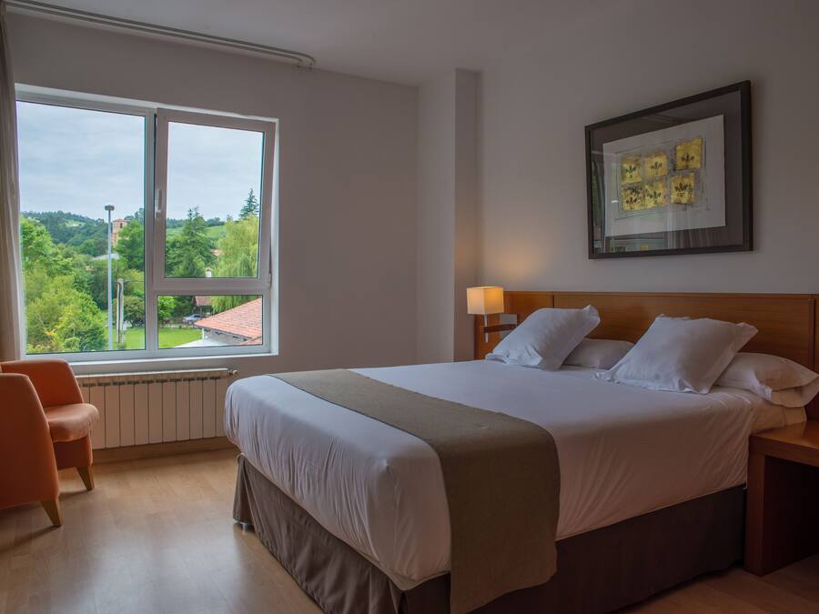 Habitación de hotel con una cama grande, un escritorio, una silla, ventana con vista a follaje y una obra de arte enmarcada en la pared.