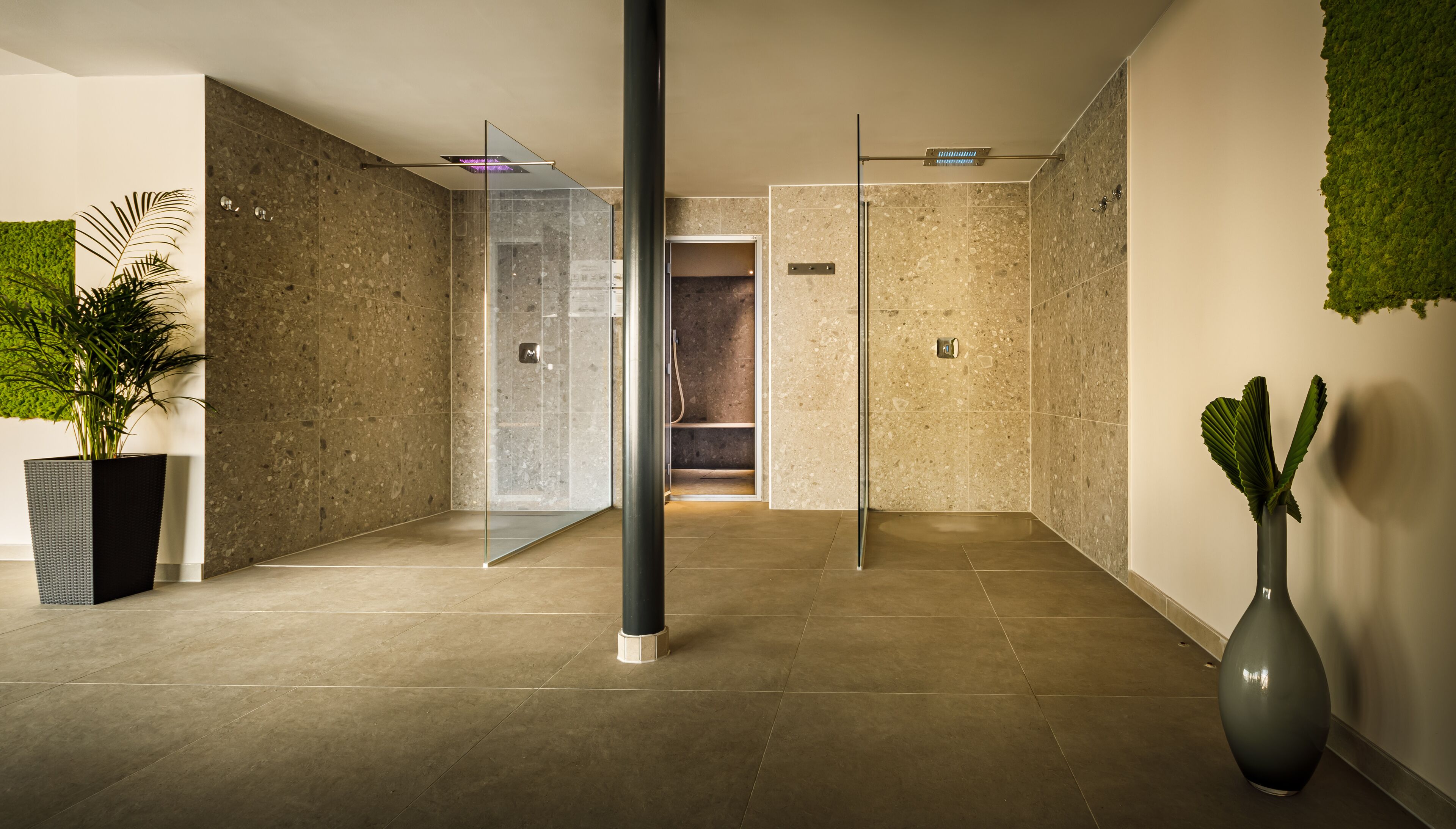 Un pasillo moderno con cabina de ducha de vidrio, una planta en maceta y un jarrón.