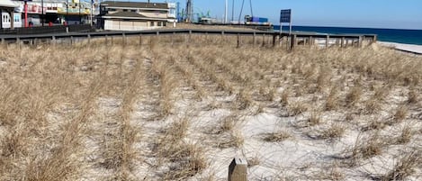 A beach with a wooden fence, sandy dunes, and a boardwalk leading to a pier with buildings and a Ferris wheel in the background.