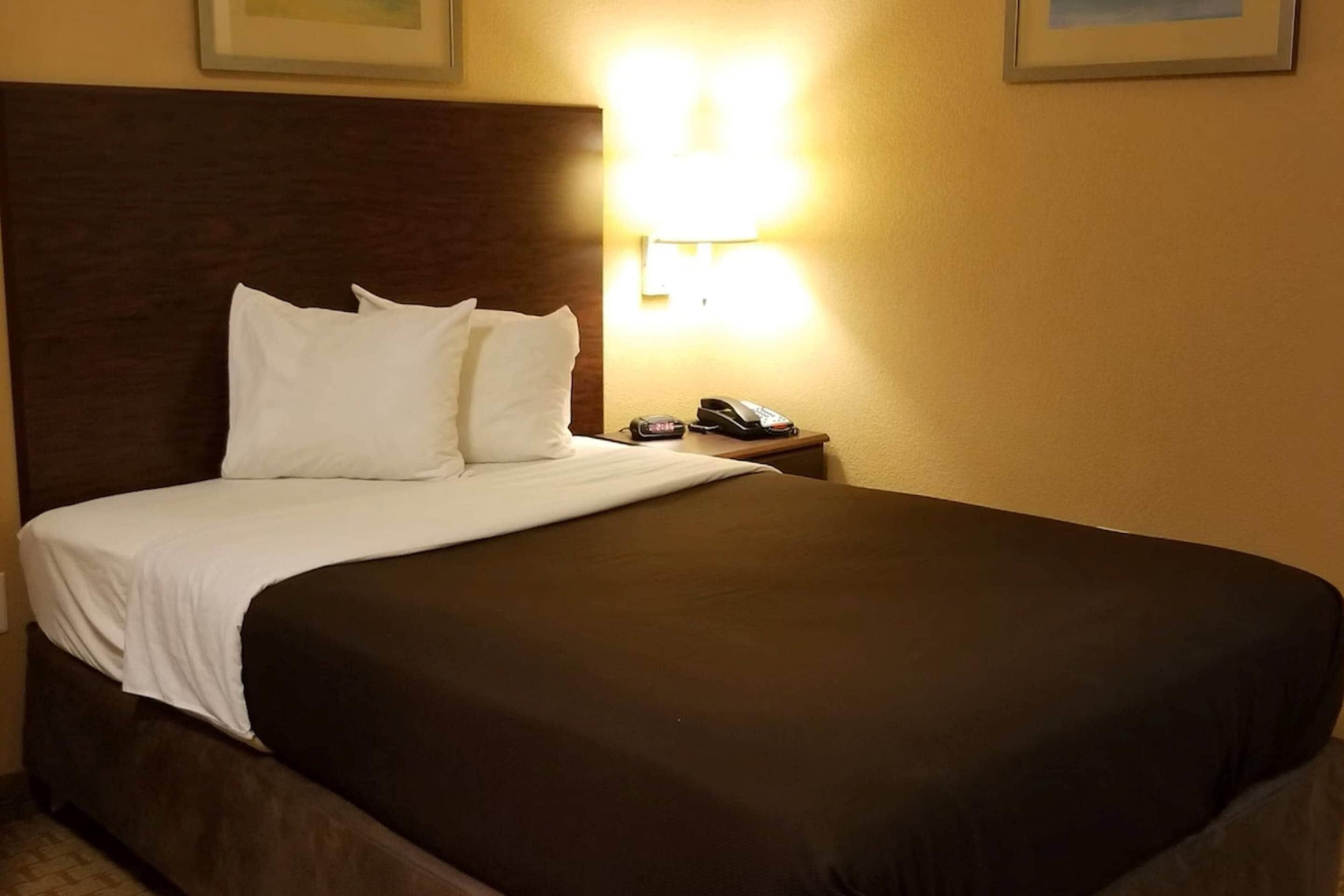 Une chambre d’hôtel avec un grand lit, une table de chevet avec un téléphone et une lampe fixée au mur.