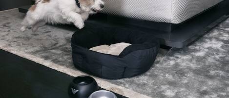 A small dog bed, two bowls, and a grey couch.