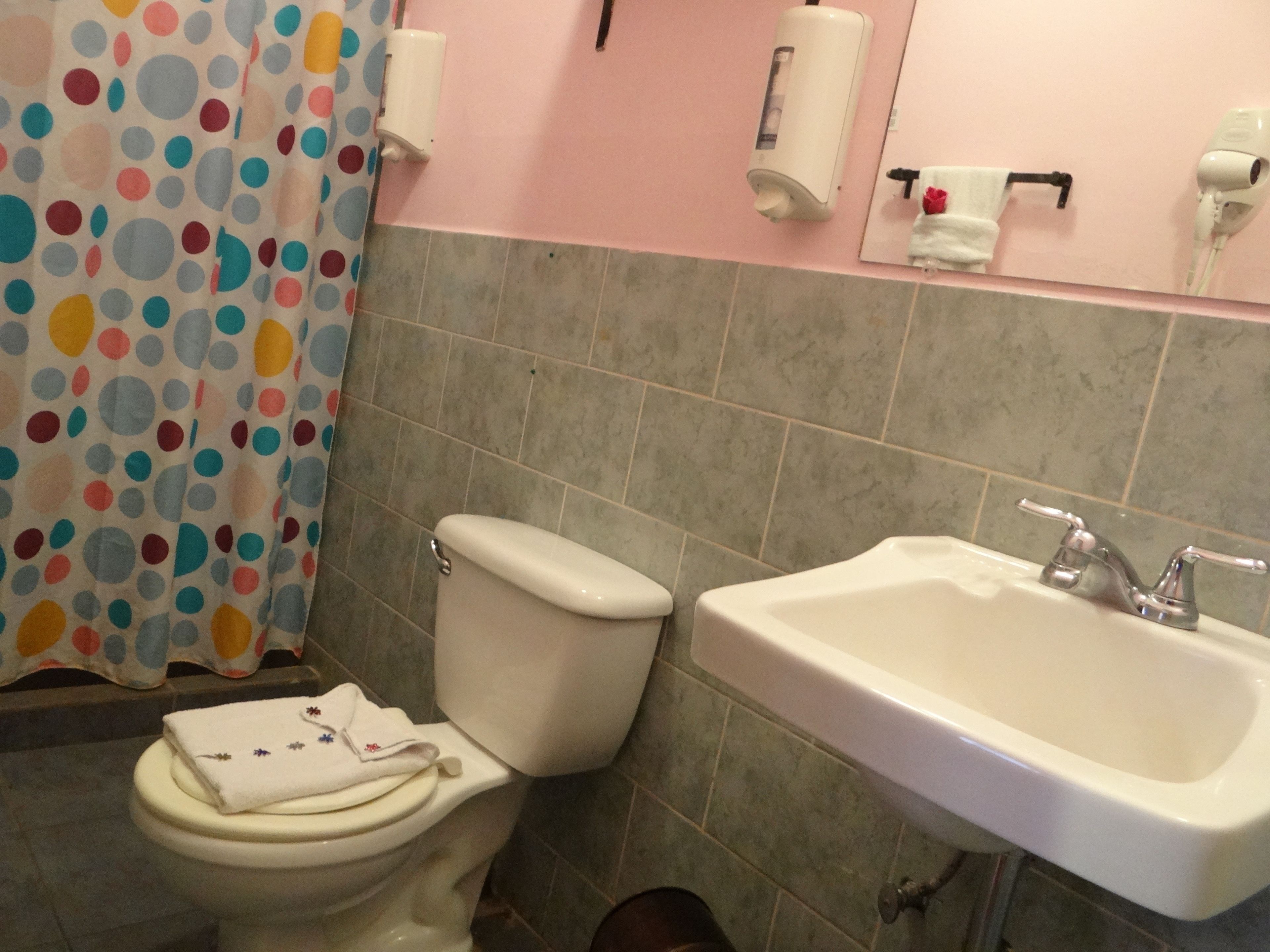 standard double room, private bathroom, garden area | bathroom shower