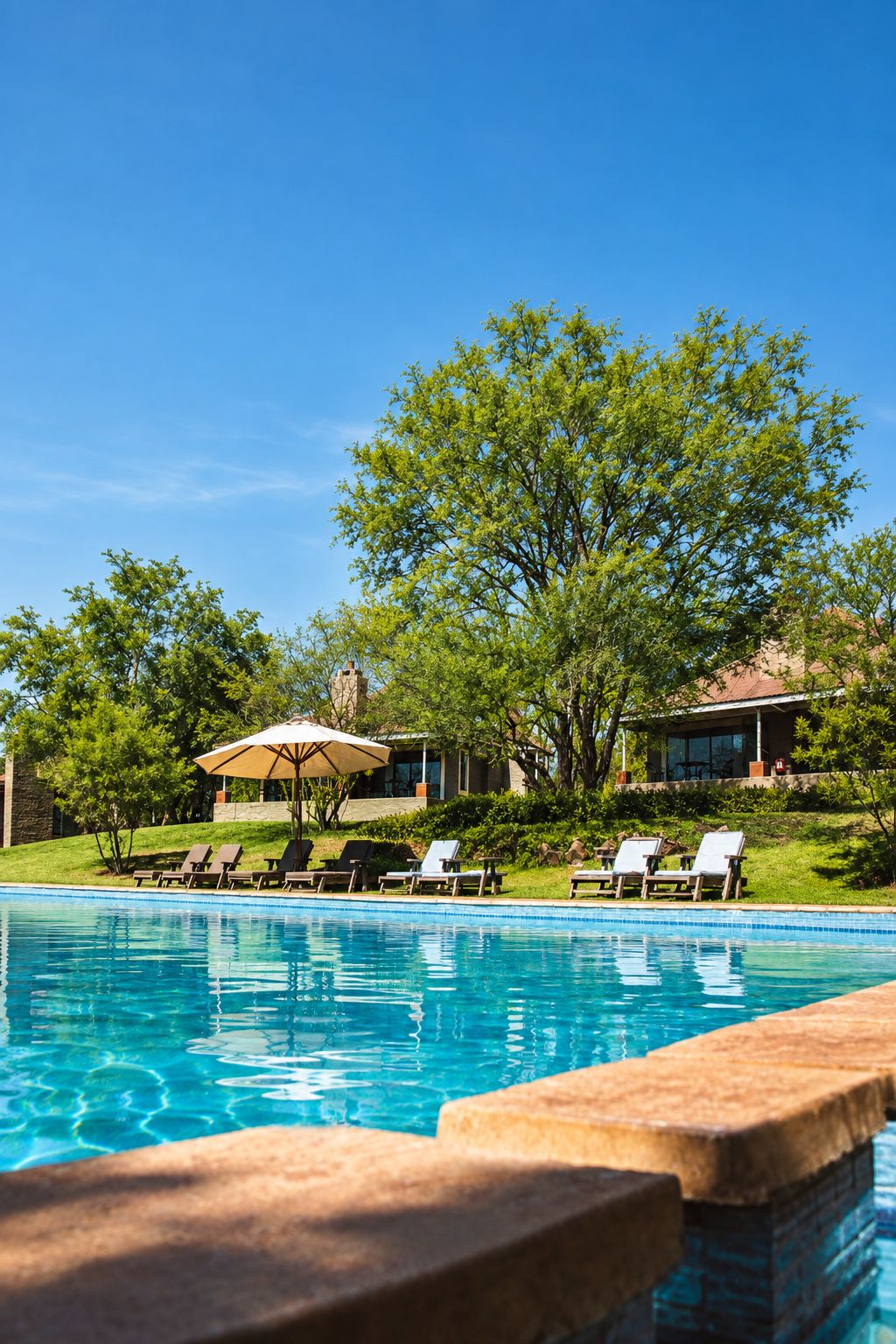 Una piscina con sillones de descanso y sombrillas, rodeada de árboles y un edificio.