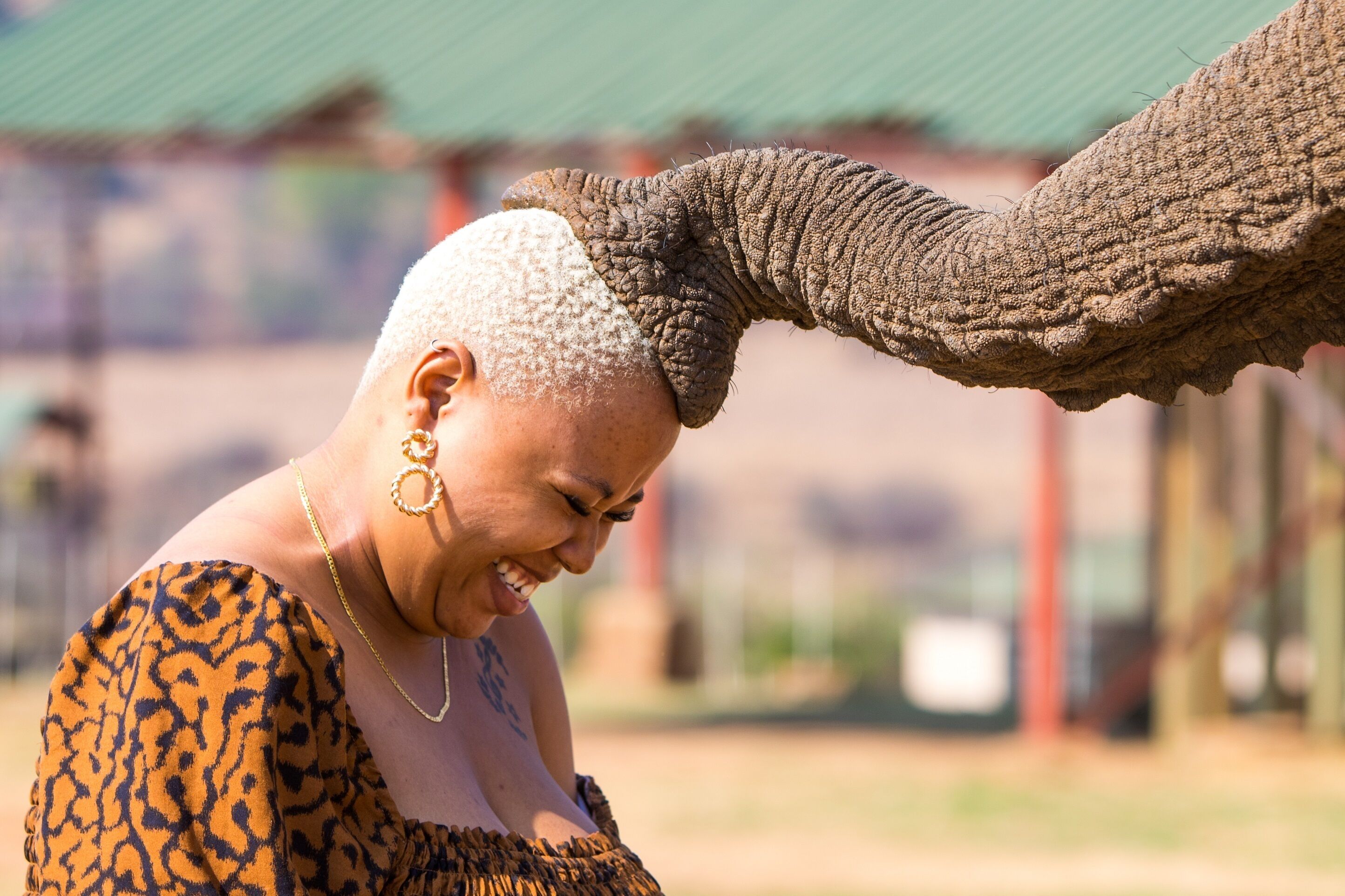 A person in a patterned garment interacting with an elephant.