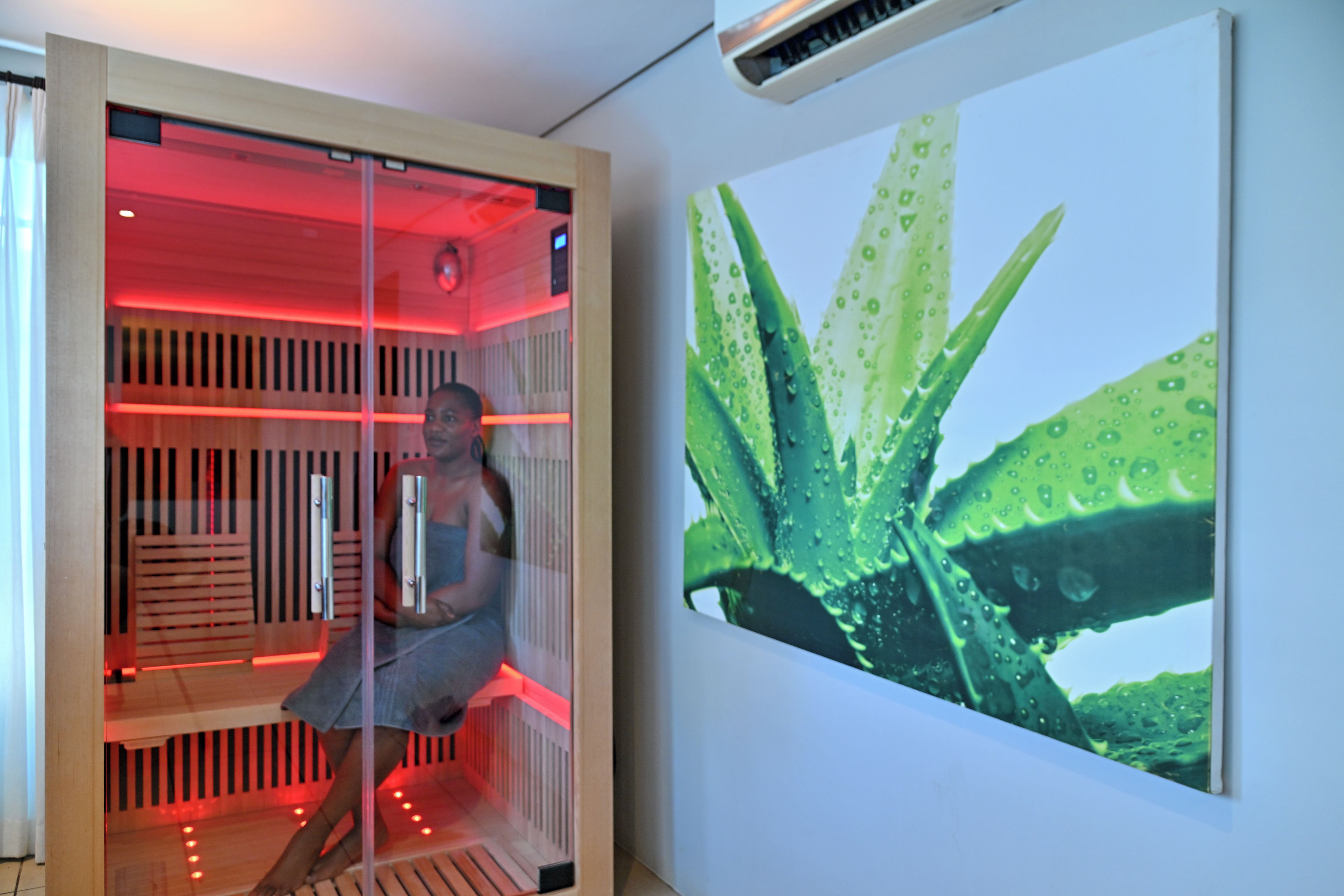 Quarto com sauna, ar-condicionado fixado na parede e uma pintura grande de cacto.