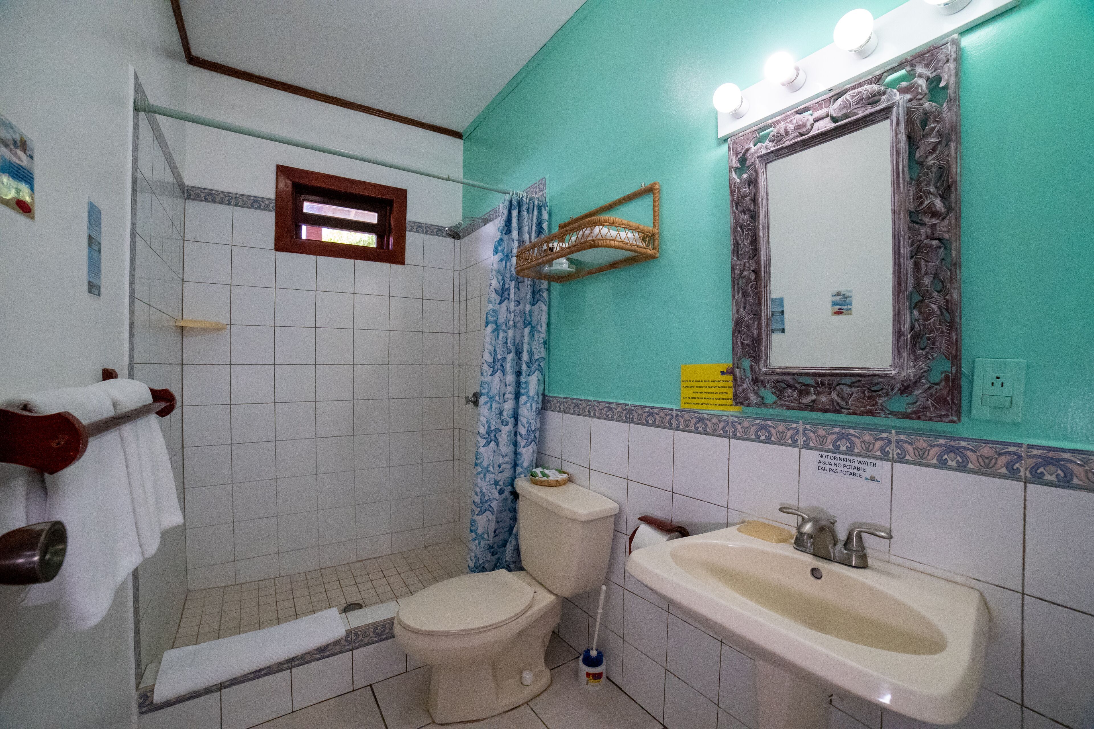 shower, free toiletries, hair dryer, towels