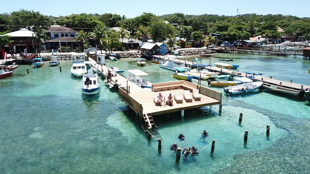 A marina with multiple boats docked, a wooden pier, and clear water.