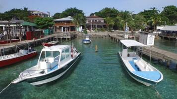 Paseos en bote