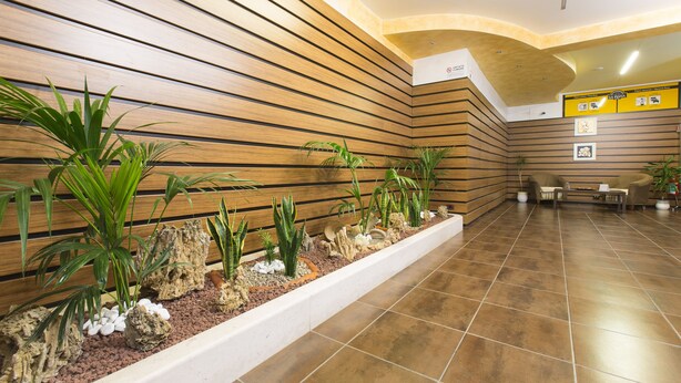A reception area with a wooden slat wall, a planter with plants and rocks, and a tiled floor. - Hotel La Piana (Tito)