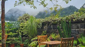A garden with a stone wall, wooden chairs, and various plants. - Hotel Vale Verde (Povoacao)