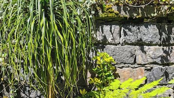 花園
